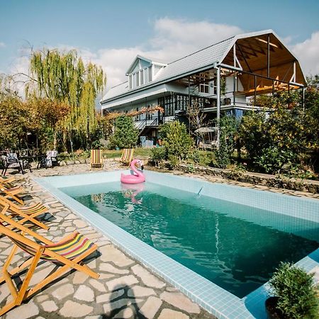 Chateau Dzveli Gavazi Otel Akhalsopeli  Dış mekan fotoğraf